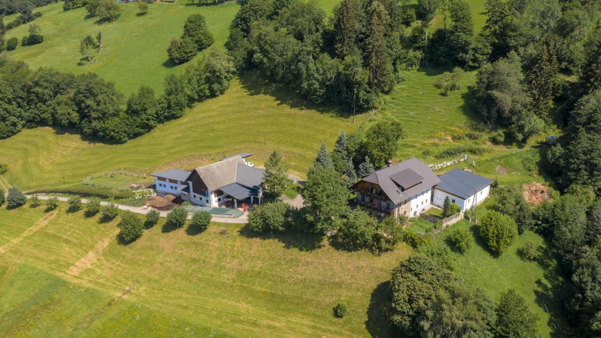Hotel Turnerhof à Millstatt Extérieur photo